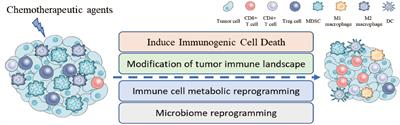 The application basis of immuno-checkpoint inhibitors combined with chemotherapy in cancer treatment